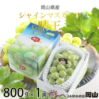 【2026年7月中旬より順次発送】岡山県産 シャインマスカット 晴王 800g×1房【配送不可地域：離島・北海道・沖縄】【1366003】