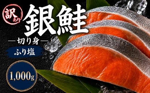 【訳あり】 塩銀鮭 10切れ｜鮭 塩銀鮭 銀鮭  魚介類 海鮮 鮭 訳アリ 不揃い さけ サケ 鮭切身 シャケ 鮭 切り身 冷凍 鮭 家庭用 おかず 弁当 鮭 支援 サーモン 銀鮭切り身 魚 わけあり 栃木県 真岡市 送料無料