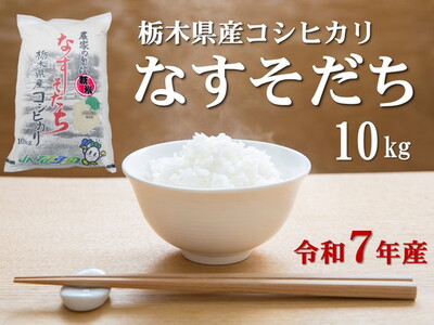 令和7年産 栃木県産 コシヒカリ なすそだち 10kg JAなすの産地直送【大田原市・那須塩原市・那須町共通返礼品】〔P-467〕 ｜ 米 コメ こめ 白米 精米 新米