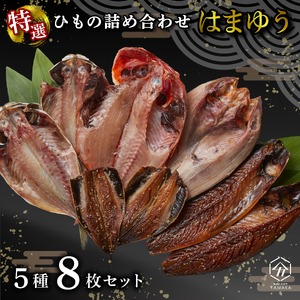 干物 厳選セット 5種 8枚 はまゆう 沼津 干物