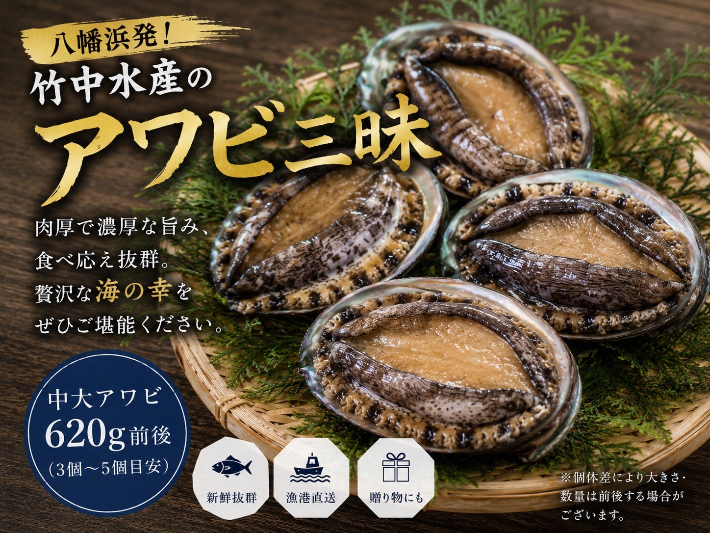 
                  H22-204.竹中水産の八幡浜発！「天然アワビ：中大サイズ620g前後！」＋鮮魚１品 YWTM022
                