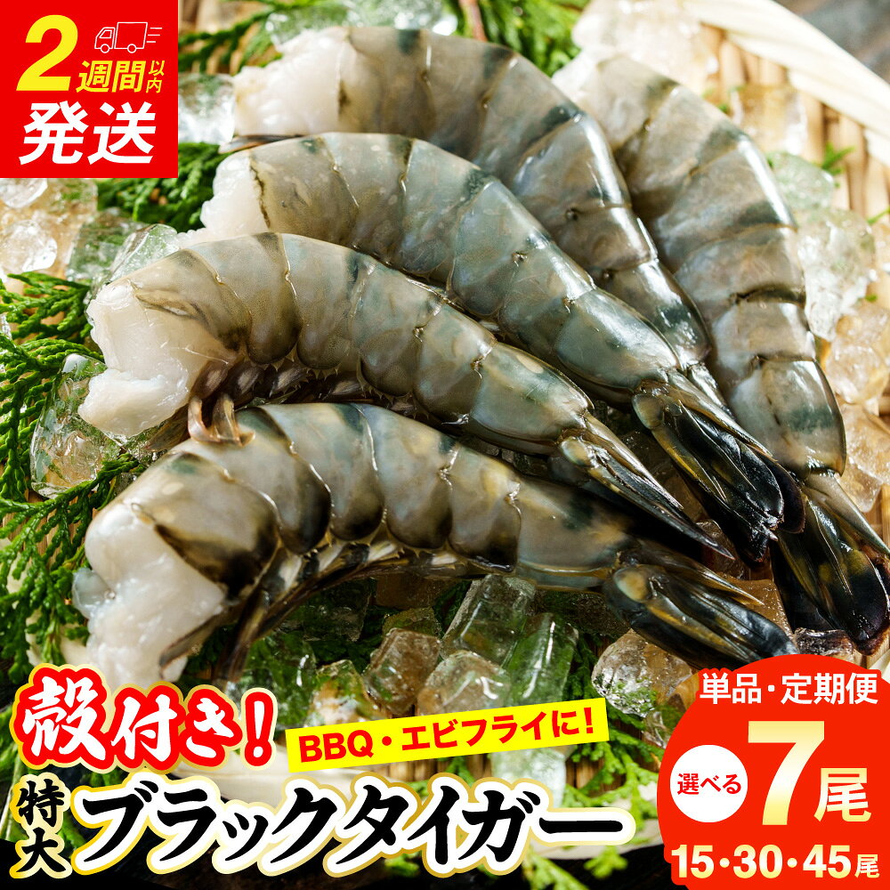 【ふるさと納税】★高評価!!【14営業日以内発送】 特大 エビ ブラックタイガー 無頭 【お試し】7尾・【定番人気】15尾・【おすすめ】30尾・【大容量】45尾・【定期便】3・6・12回 / 1パック15尾入 海鮮 魚介 冷凍 殻付 えび 海老 エビフライ エビチリ パエリア 鍋 阪南市