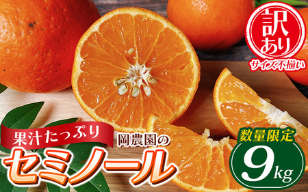 セミノール 果物 くだもの フルーツ わけあり 訳あり 家庭用 みかん 蜜柑 数量限定 ミカン 訳あり品 サイズ不揃い ご家庭用 岡農園のセミノール9kg【2026年3月下旬から4月下旬までに順次発送】【mok004B】