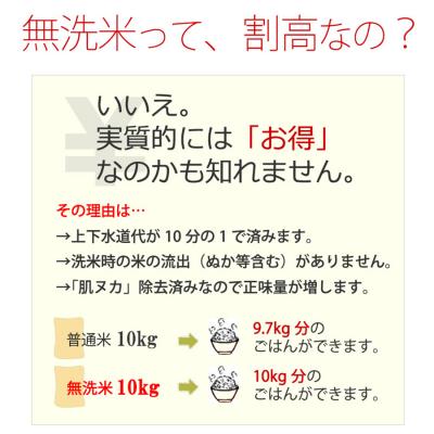 ふるさと納税 小郡市 R7年産 無洗米 5kg 福岡県産 ひのひかり 米[No5354-0268] |  | 02