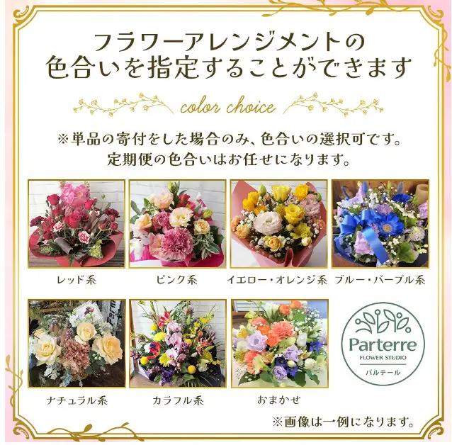 季節のフラワーアレンジメントB お花 生花 贈り物 岩手県 北上市 B0447 花工房 パルテール 花 お試し アレンジ カラフル インテリア 自宅用 記念日 誕生日 結婚記念日 バレンタイン ホワイ