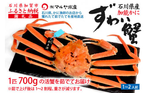 【1月20日～3月31日発送】【先行予約】【冷蔵発送】石川県産 加能かに ズワイガニ ( 産地証明タグ付 ) 茹で上げ前重量 約700g 1匹 大サイズ F6P-2752