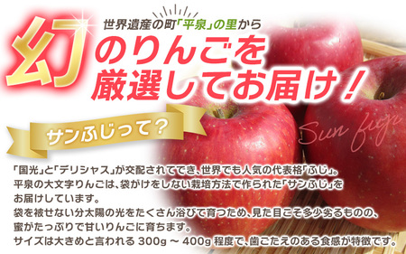 【１月上旬より発送】大文字りんご園 サンふじ 『大玉サイズ』 約5kg (約10～11玉)/【dma513-sf-5C-big】