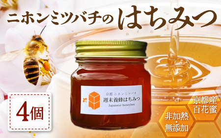 ニホンミツバチのはちみつ 300g×4本 | 蜂蜜 はちみつ ハチミツ 百花蜜