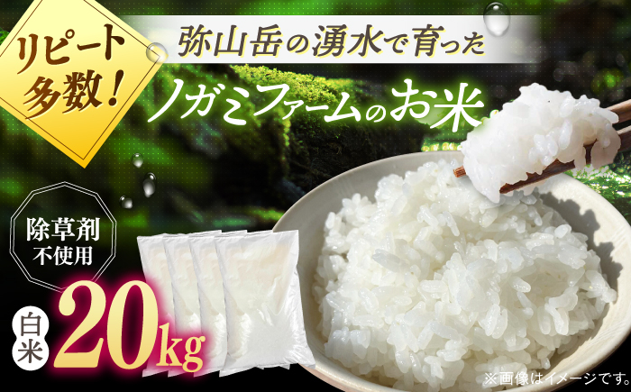 
【新米 令和6年産】弥山岳の岩清水で育ったノガミファームの お米 白米 20kg ( 5kg ×4袋） ▼ おすすめ 人気 ランキング 高評価 国産 福岡県産 九州 米 お米 白米 ご飯 ごはん ゴハン 白飯 精米 桂川町/NOGAMI FARM[ADAU007]
