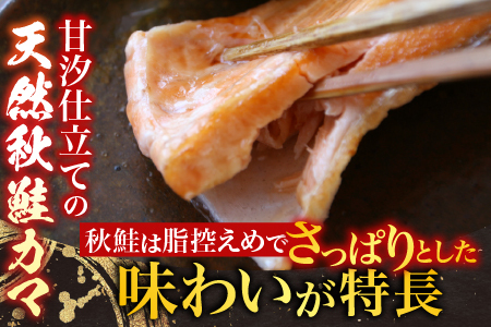 根室海鮮市場＜直送＞甘汐天然秋鮭カマ500g×3P(計1.5kg) G-28042