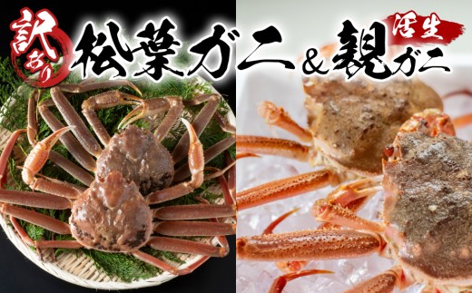 鳥取県網代産 訳あり松葉がに 親がに 夫婦セット（生） 鳥取 岩美 松葉ガニ ずわいがに せこがに 日本海【22013】