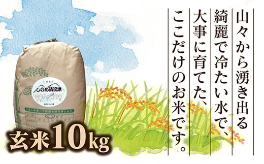 D497 しのめ清流米　玄米10㎏