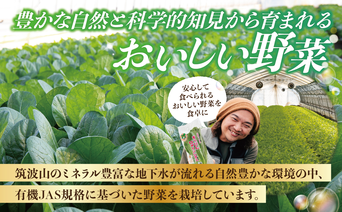 【2027年1月中旬～発送開始】希少な有機いちご200g・有機やさい3種