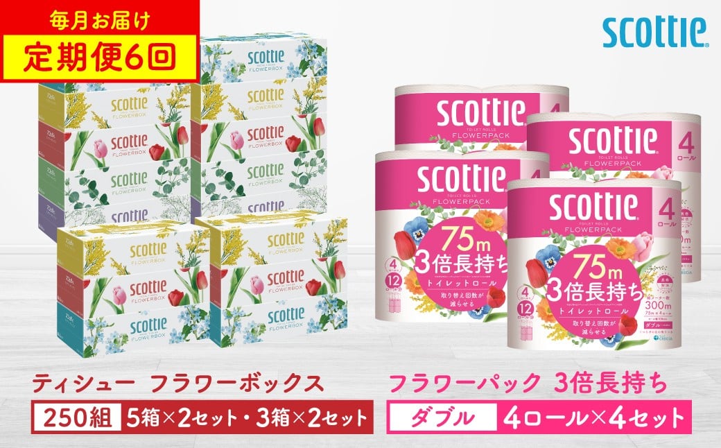 
            【定期便6回】【毎月お届け】【スコッティ】ティシュー フラワーボックス 250組（5箱パック×2セット・3箱パック×2セット）＋フラワーパック 3倍長持ち（4ロール(ダブル)パック×4セット）ティッシュ トイレットペーパー 日用品 ストック
          