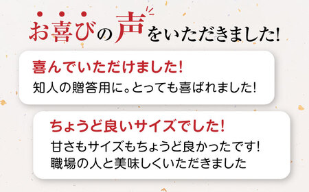 ＜可愛いサイズの本格どら焼き！＞さがどら 5個入 佐賀県/有限会社菓心まるいち[41AABY001]