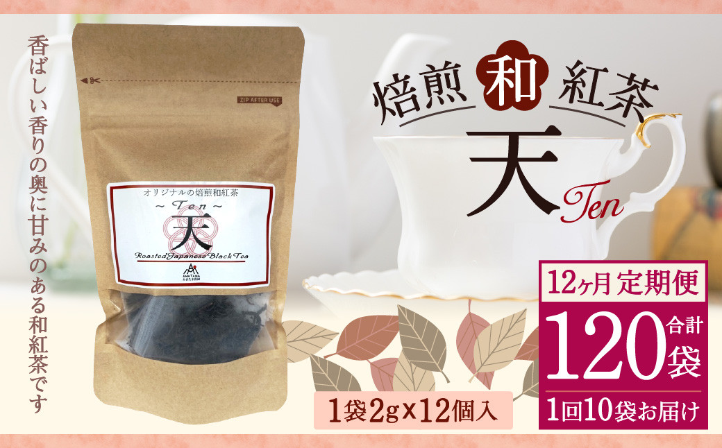 
【12ヶ月定期便】 焙煎 和紅茶 ～Ten～天 (2gx12個) ×10個セット 計120袋 無農薬 化学肥料不使用 紅茶 お茶 パック ティーパック
