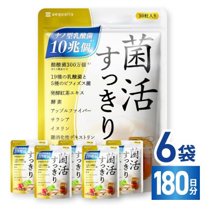 ふるさと納税 養老町 乳酸菌サプリメント ナノ型乳酸菌10兆個&amp;ビフィズス菌配合 菌活すっきり 6袋(6ヶ月分)