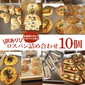 【訳あり】ロスパン詰め合わせ（10個）（ LV-1）