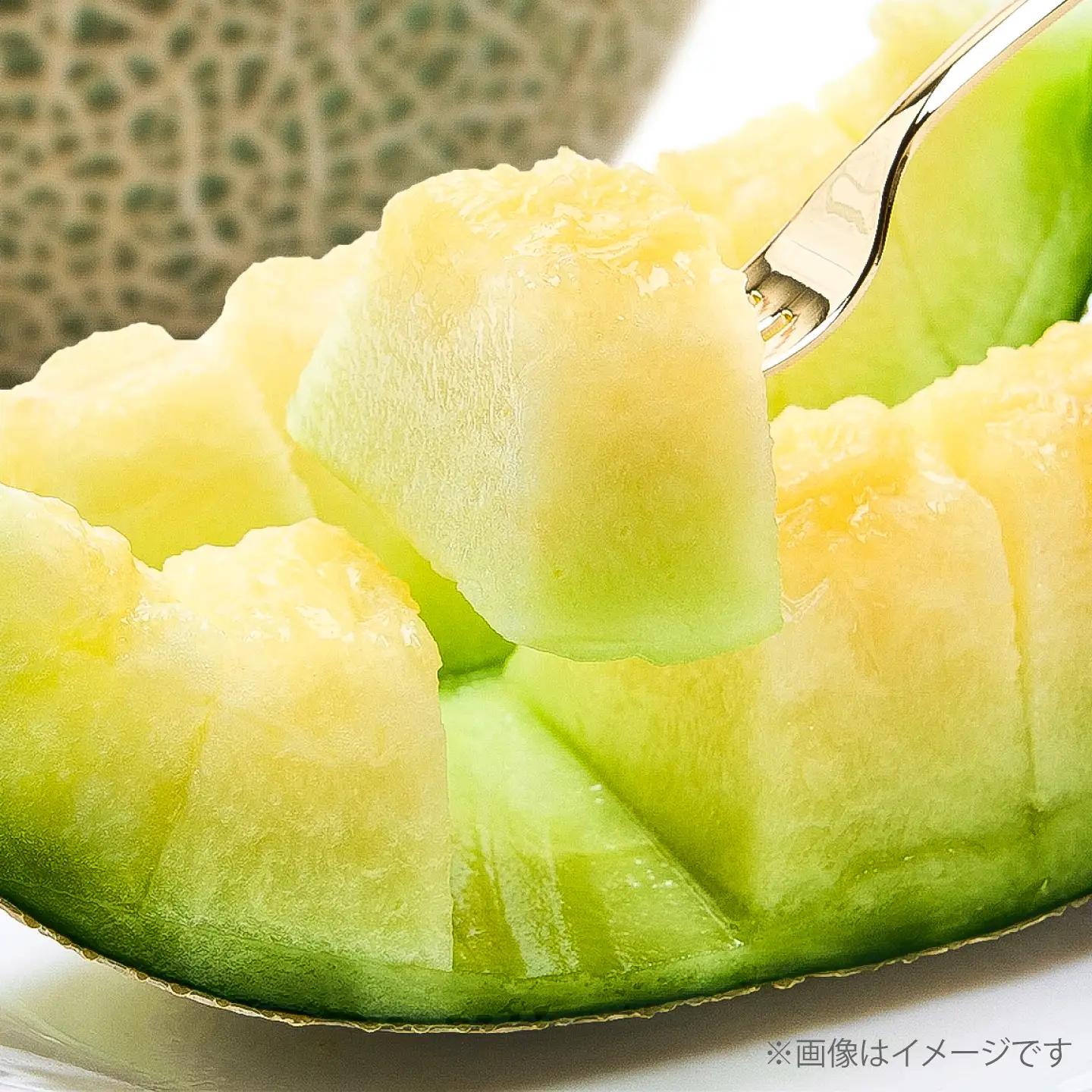 【数量限定30セット】神奈川県産 津久井浜 温室メロン アールスメロン 大玉 糖度16度前後 約2.0kg以上 1玉【小林マルモ農園】[AKJG001]