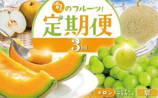 【数量限定】 2026年発送 旬のフルーツ定期便 3回 │ 先行受付 フルーツ 果物 メロン シャインマスカット ぶどう 梨 定期便 フルーツ定期便 赤肉 青肉 シャイン マスカット 葡萄 なし 詰め合わせ セット 旬 産地直送 贈答 期間限定 先行予約  千葉県 旭市 フルーツファーム向後 齋藤園 fst001