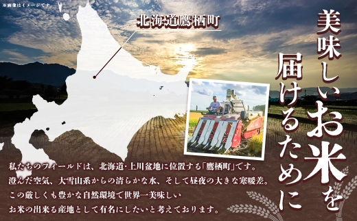 ゆめぴりか （ 玄米 ） 約10kg