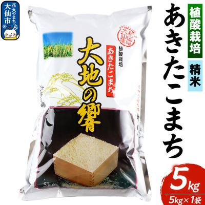 ふるさと納税 _大仙市 植酸栽培 あきたこまち「大地の響」5kg【精米】令和7年産|22_aks-210501