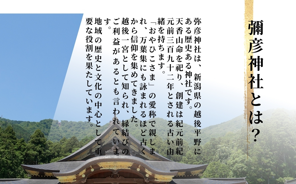 令和7年産特別栽培米コシヒカリ 伊彌彦米 10kg(5kg×2袋) | 新潟県産 米 お米 白米 コシヒカリ 精米 特別栽培米 伊彌彦米 10kg 送料無料 新潟県 弥彦村