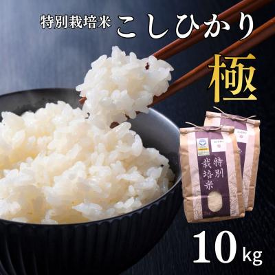 ふるさと納税 三条市 特別栽培米 コシヒカリ「極」 10kg 令和7年産 こしひかり 県認証特栽米【024S027】