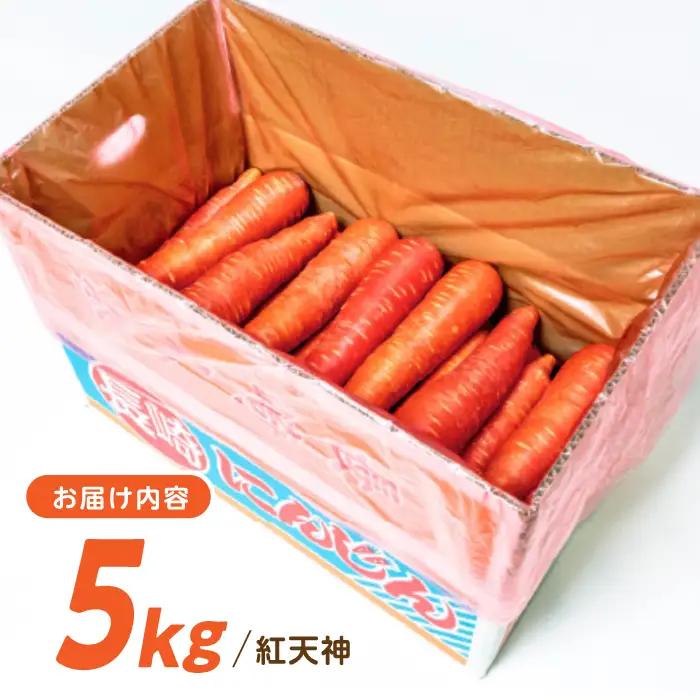 ※【2027年1月上旬より順次発送／先行予約】【甘みと栄養たっぷり！】真っ赤な人参「紅天神」 5kg / にんじん ニンジン 人参 carrot やさい 野菜 にんじんジュース 人参ジュース ニンジン