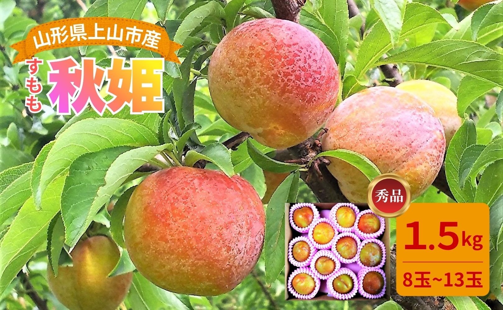 
                  すもも（秋姫）１.５ｋｇ　0017-2606
                