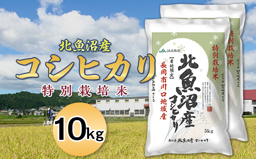 7T10-1北魚沼産コシヒカリ特別栽培米10kg（長岡川口地域）【2025年10月発送】