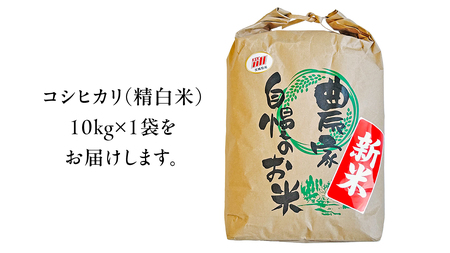 茨城県 筑西市産 コシヒカリ 精白米 10kg 令和6年産 新米 単一原料米 精米 米 お米 コメ 白米 こしひかり 茨城県 [AF103ci]