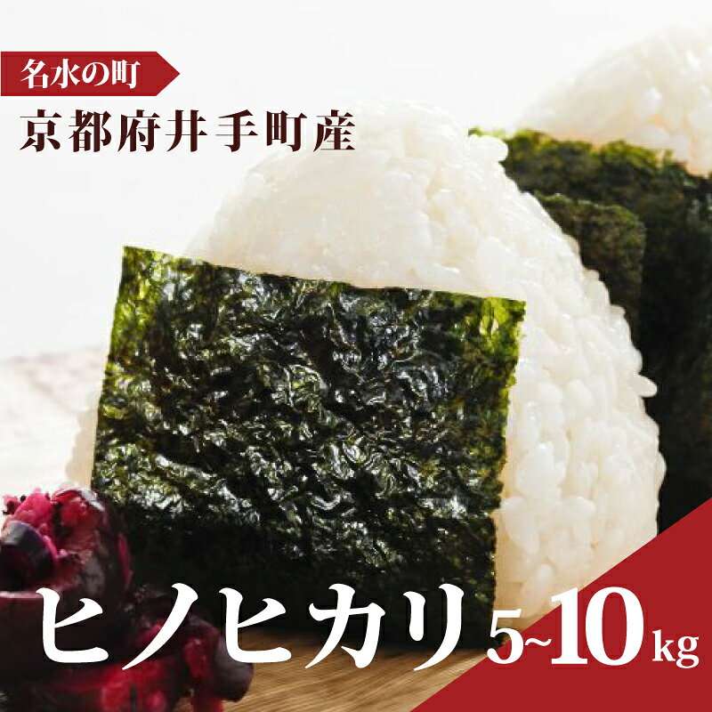【ふるさと納税】R8年度産 新米 先行予約 ヒノヒカリ 発送11月下旬以降 選べる 5kg 10kg 新米 精米 白米 2026年度産 5キロ 10キロ お米 米 こめ ご飯 おにぎり 弁当 産地直送 国産 京都 井手町 送料無料 ふるさと納税米