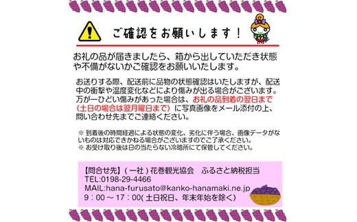 ＜予約受付開始！＞シャインマスカット入り！家庭用 ぶどう 詰め合わせセット 4パック入り 【747】
