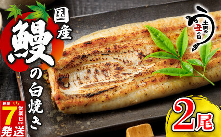 鰻白焼 2尾 うなぎ 【 鰻 】