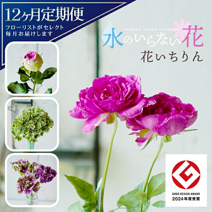 【ふるさと納税】≪12ヶ月定期便≫ 水のいらない花 ゼロフラワー定期便 「花いちりん」 お申し込み翌月下旬より12ヶ月連続お届け 東北 山形県 酒田市 庄内 LotusGarden フリーズドライ専門店 Next Level FLOWERS Japan フリーズドライフラワー 一輪挿し