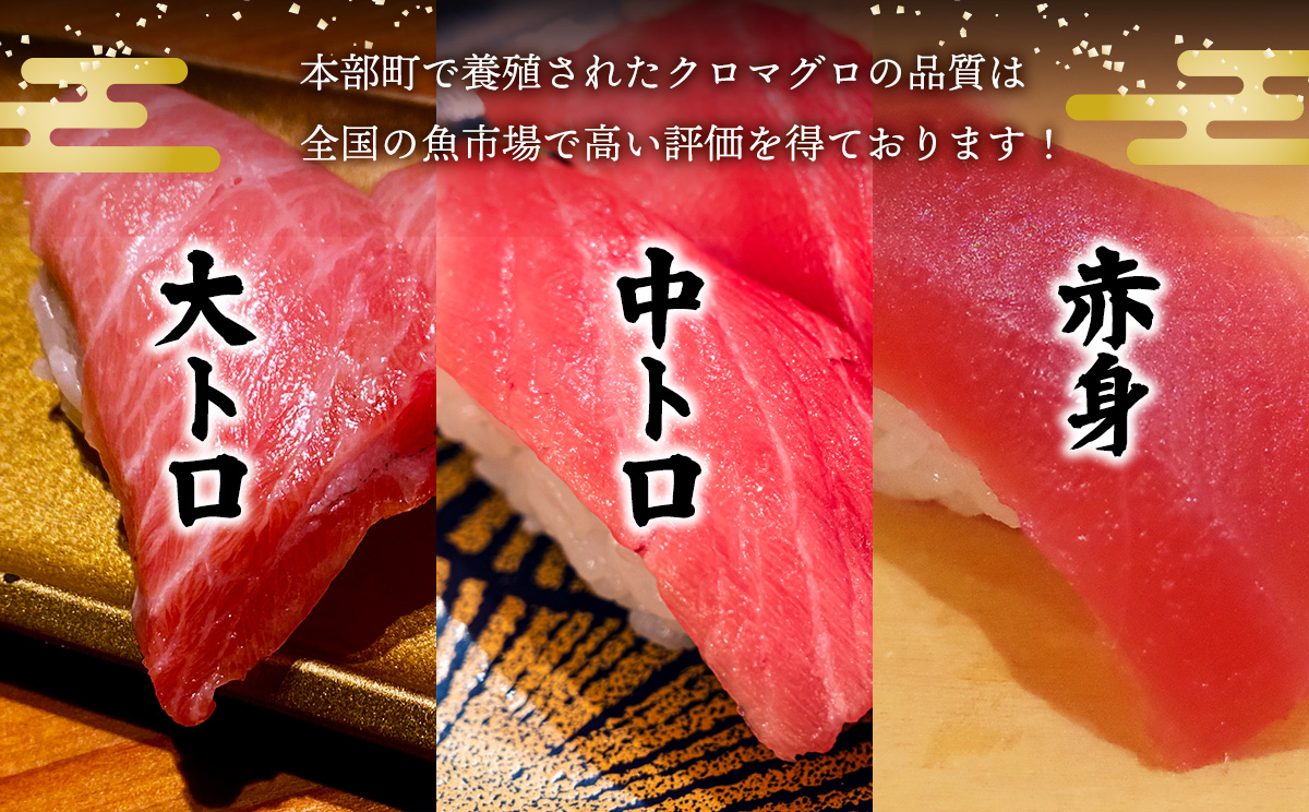 本部町産　本マグロづくし（大トロ・中トロ・赤身）約800g～1000g 鮪 本マグロ 送料無料 ギフト グルメ お祝い 贈答品 プレゼント 土産 お取り寄せ 柵 大トロ 上トロ 中トロ 赤身 刺身 さ
