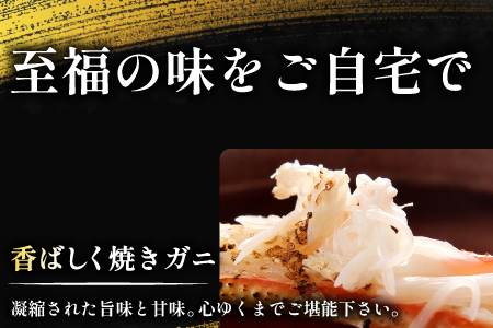 【蒸し】訳あり足折れ松葉ガニ 1.5kg前後 【訳あり 松葉ガニ 松葉がに 松葉蟹 まつばがに かに カニ 冷蔵 チルド ブランド ズワイガニ 蒸し ボイル 足折れ 自宅用 国産 季節限定 お取り寄せ
