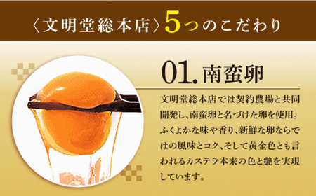 【12回定期便】おぢか 焼印 特撰 カステラ 1号「ちかまるくん」【文明堂総本店】[DBF008]/ 長崎 小値賀 特撰 カステラ かすていら 贈答 プレゼント ギフト お土産 定期便