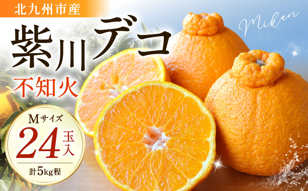 
            紫川デコ（不知火） Mサイズ 24玉入 計5kg程【2026年3月上旬～2026年3月下旬発送予定】
          