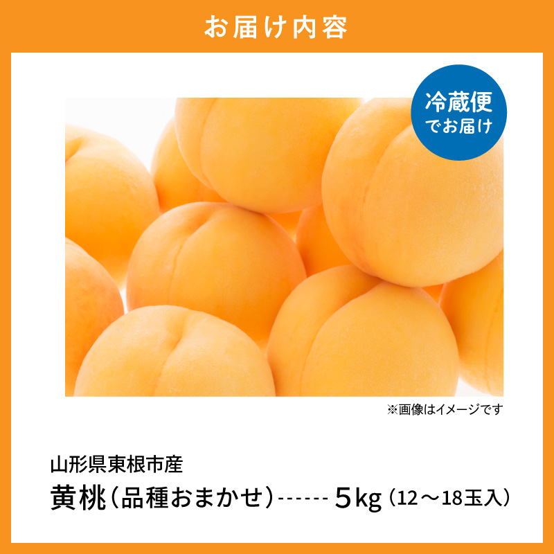 【2026年産先行予約】採れたて黄桃(品種お任せ) 約5kg (12～18玉)晴天畑提供 山形県 東根市 hi026-058