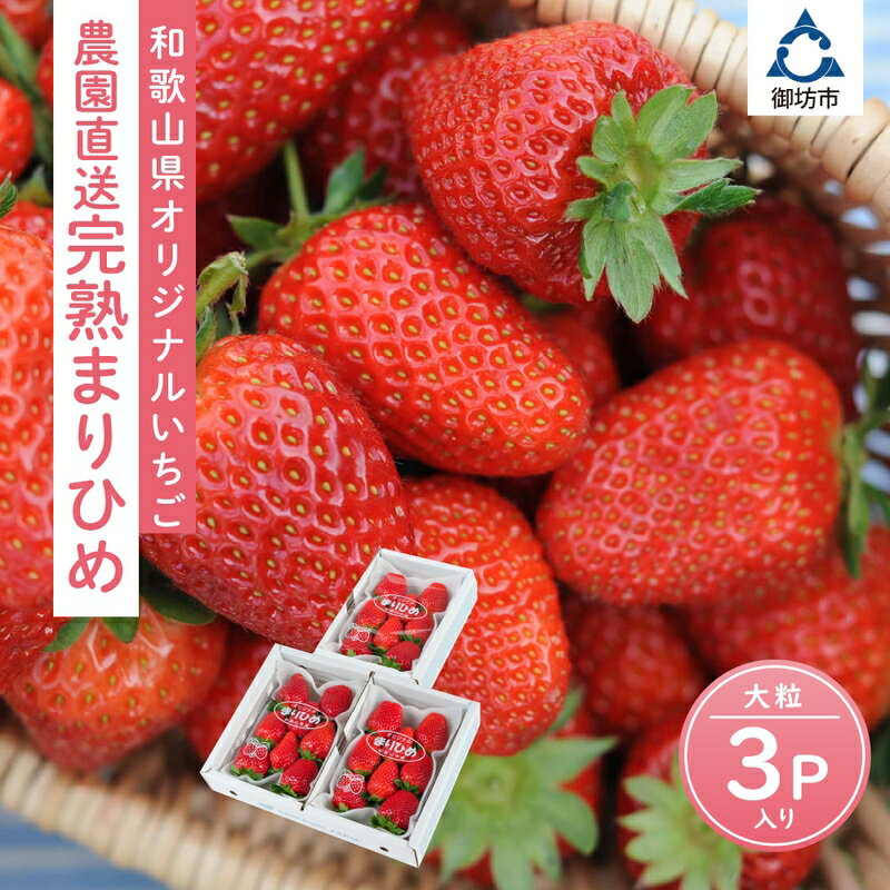 【ふるさと納税】高評価 ☆自農園産 和歌山県オリジナルいちご『完熟まりひめ』大粒3パック《先行予約》2025年12月から順次発送【配送不可地域：北海道・青森・秋田・岩手・沖縄】 ふるさと納税 いちご 甘い ふるさと納税 イチゴ 苺 大きい フルーツ 送料無料 数量限定