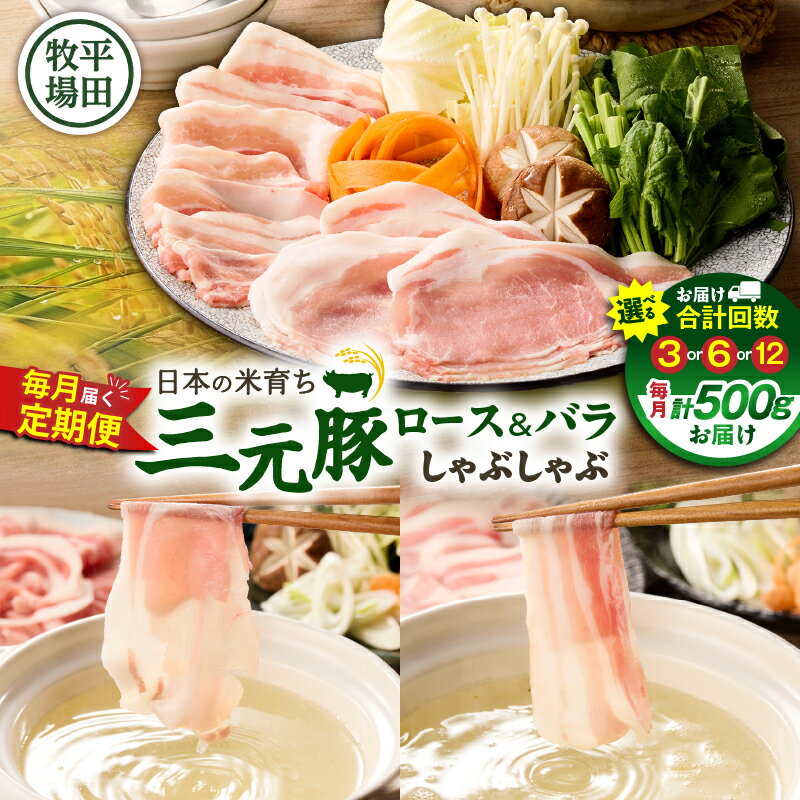 【ふるさと納税】＜選べる回数＞ 3回 ～ 12回 毎月 定期便 日本の米育ち平田牧場 三元豚ロース 250g バラしゃぶしゃぶロース 250g 肉 豚 豚肉 三元豚 ロース バラ しゃぶしゃぶ 鍋 冷凍 便利 パック 定期 平田牧場 北海道 苫小牧市 おすすめ ランキング プレゼント ギフト