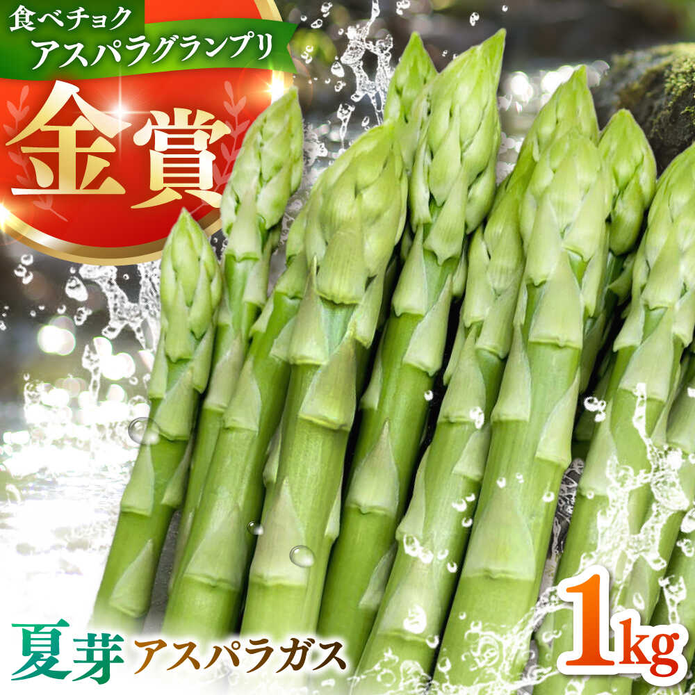 【ふるさと納税】【先行予約】身体にやさしい こだわり 夏芽 アスパラガス 約1kg【ひがじま農園】野菜 アスパラガス グリーンアスパラ 旬 とれたて お取り寄せ 産地直送 小分け 保存 送料無料 [ICW003]