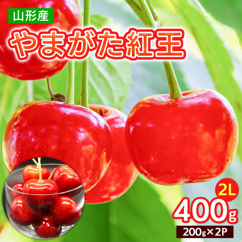 【ふるさと納税】やまがた 紅王 2L 400g(200g×2パック)【令和8年産先行予約】FS25-064