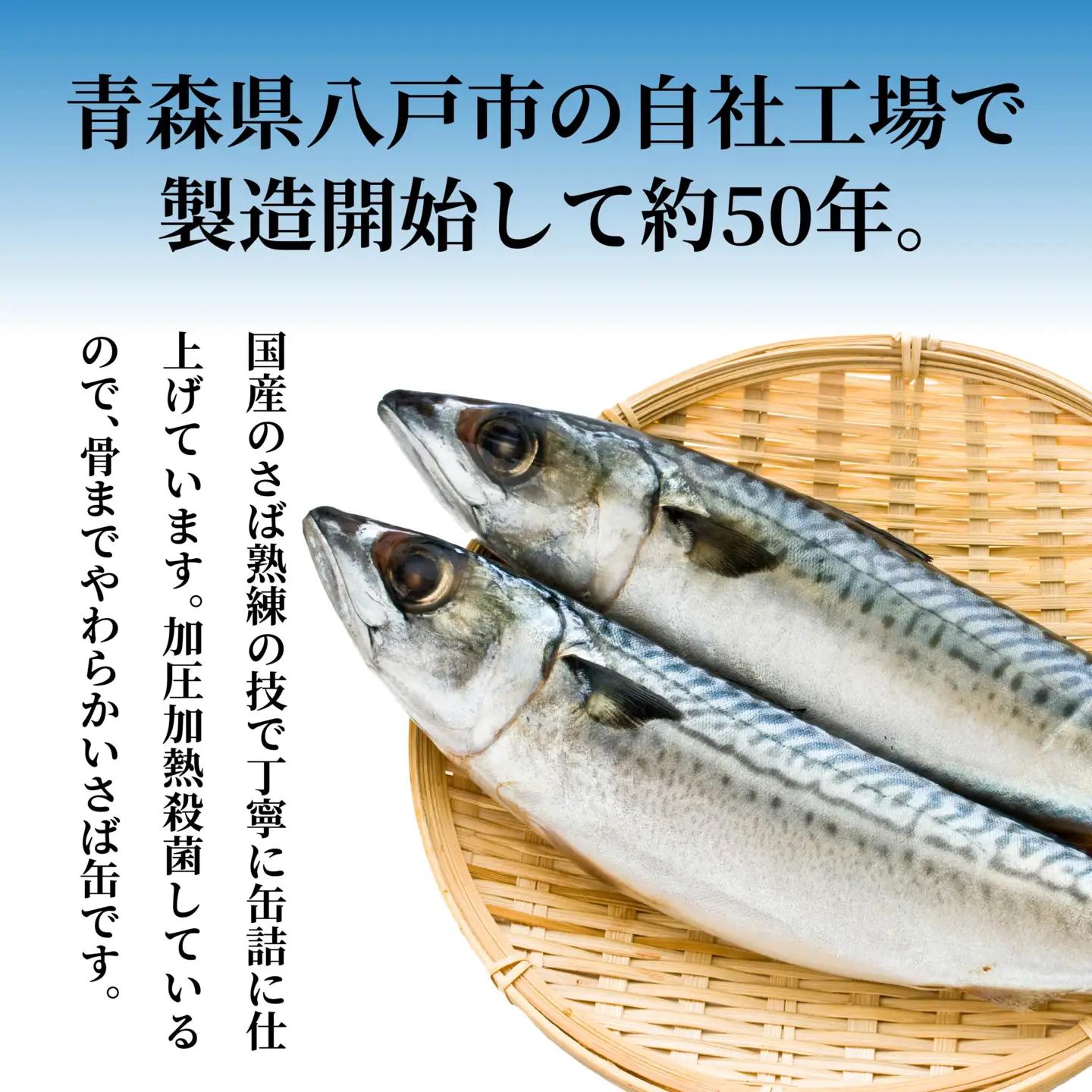 HOKO 日本のさば 水煮 〈12缶〉 セット 宝幸サバ缶過去10年間出荷数2億6千万缶以上 鯖缶 青森県 八戸市