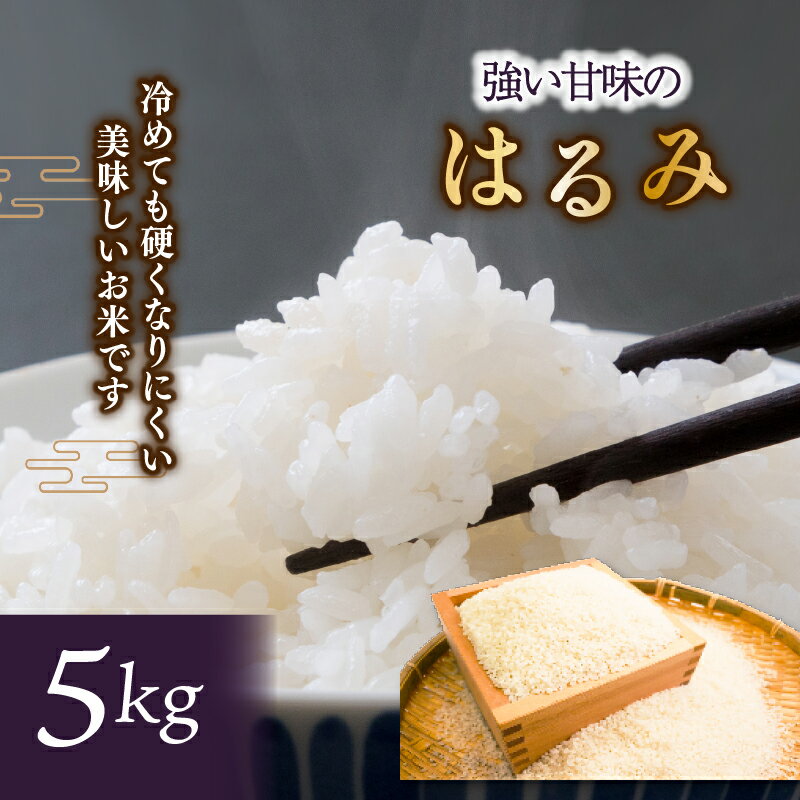 【ふるさと納税】 先行予約 令和8年 新米 米 はるみ 5kg こめ 甘い ツヤ キヌヒカリ コシヒカリ kome お米 白米 ご飯 ごはん 弁当 お弁当 おにぎり はくまい 美味い 精米 ブランド米 湘南 藤沢産 ランキング 最高評価 「 特A 」神奈川ワークショップ 神奈川 湘南 藤沢