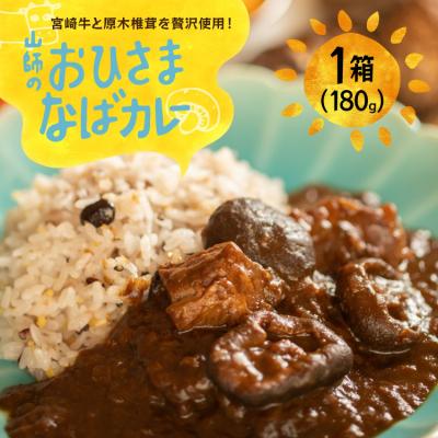 ふるさと納税 美郷町 カレー レトルト 山師のおひさま なばカレー 宮崎牛 原木椎茸 使用 180g [31ao0025]