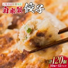 戸村本店特製味付 自家製餃子 計120個(10個×12パック)