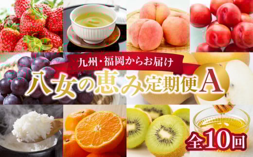 九州・福岡からお届け！八女の恵み定期便【全１０回】 A｜＜配送不可：北海道・沖縄・離島＞